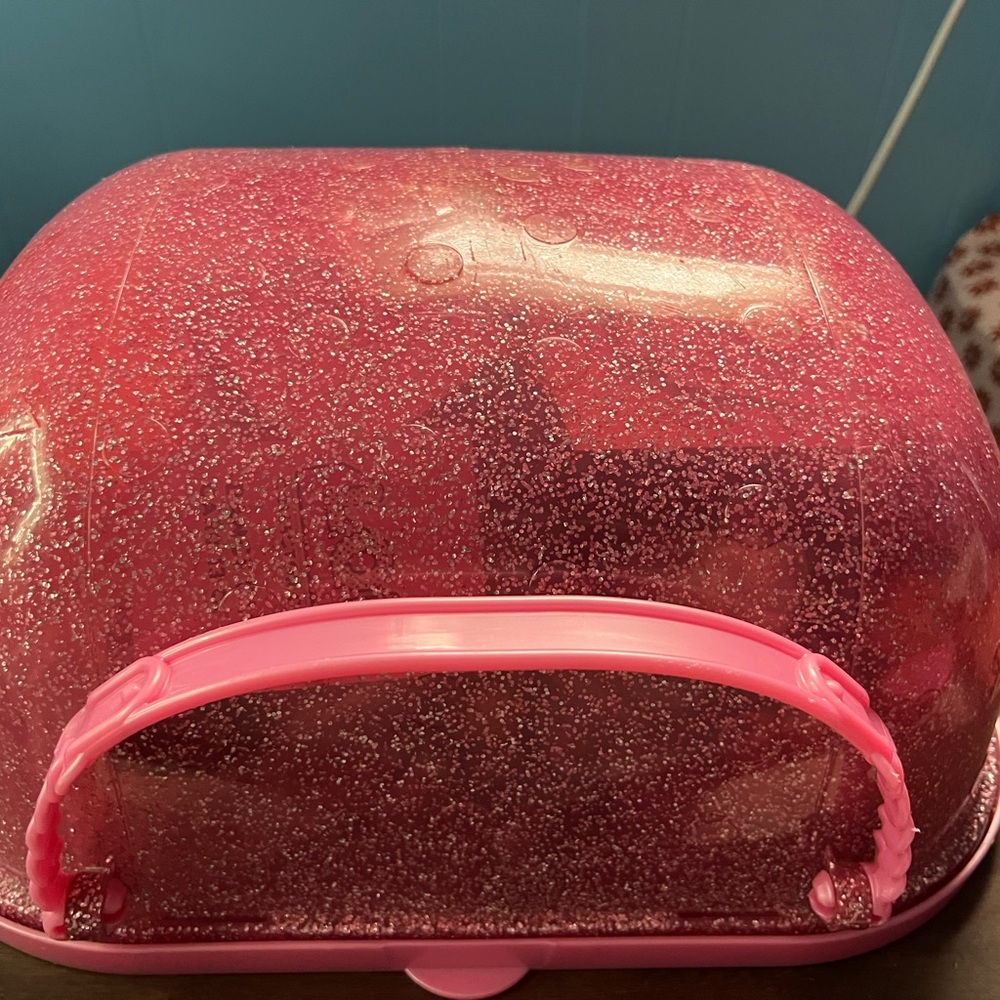 Glittery Pink Carrying Case